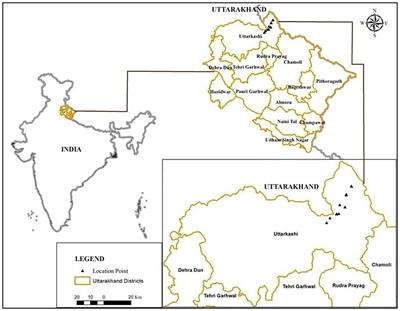 Floristic diversity and species composition along altitudinal gradient in the alpine ecosystem of the cold desert region in Western Himalaya, India